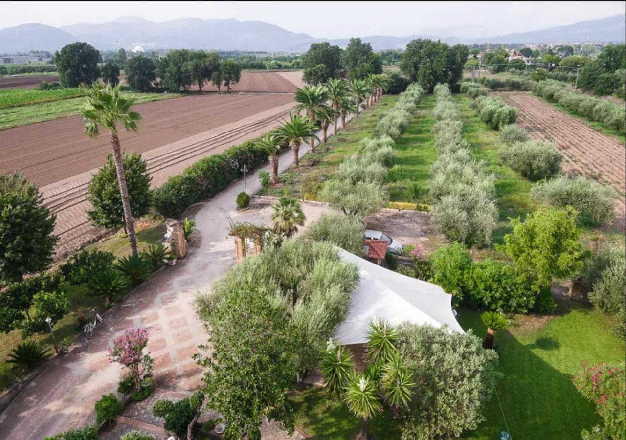 Villa Rosa Lifestyle B&B Sessa Aurunca Zewnętrze zdjęcie