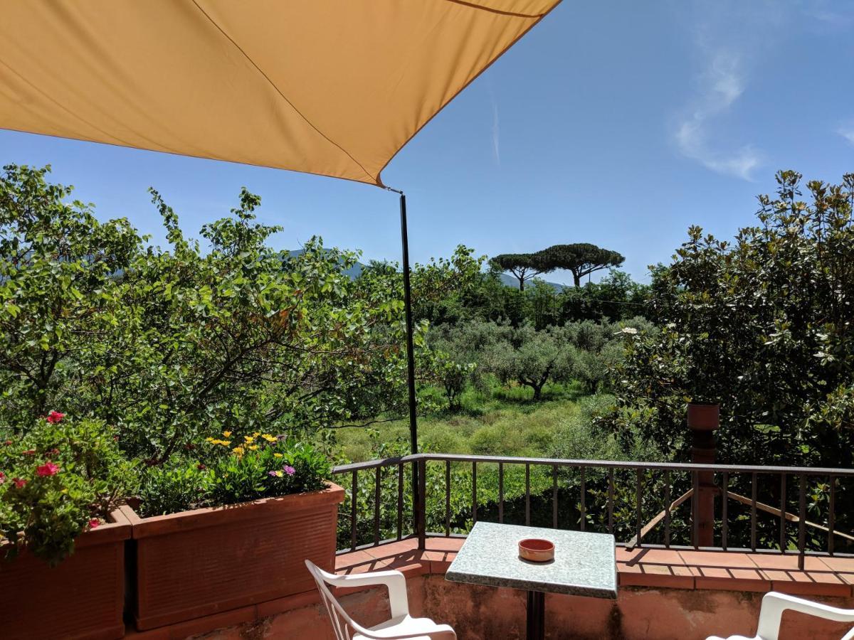 Villa Rosa Lifestyle B&B Sessa Aurunca Zewnętrze zdjęcie